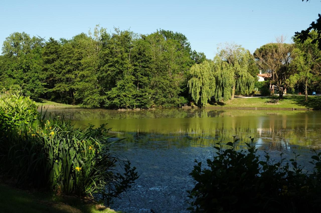 Résidence Saint Clair Balma Extérieur photo